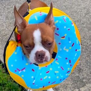 CLOSET CLEAR OUT MAKE ME REASONABLE OFFERS!!